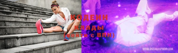 ГАЛЛЮЦИНОГЕННЫЕ ГРИБЫ Аркадак