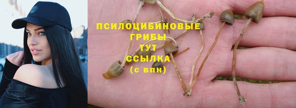 ГАЛЛЮЦИНОГЕННЫЕ ГРИБЫ Аркадак