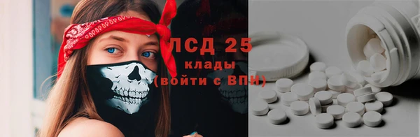 ГАЛЛЮЦИНОГЕННЫЕ ГРИБЫ Аркадак