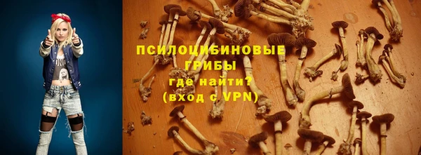 ГАЛЛЮЦИНОГЕННЫЕ ГРИБЫ Аркадак