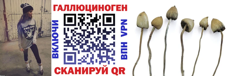 где можно купить наркотик  Заречный  Галлюциногенные грибы Psilocybe 