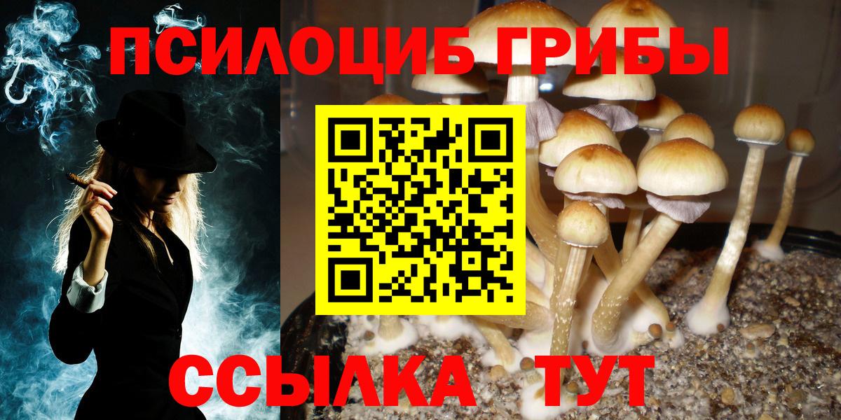 Псилоцибиновые грибы ЛСД  Вход с VPN  Заречный 