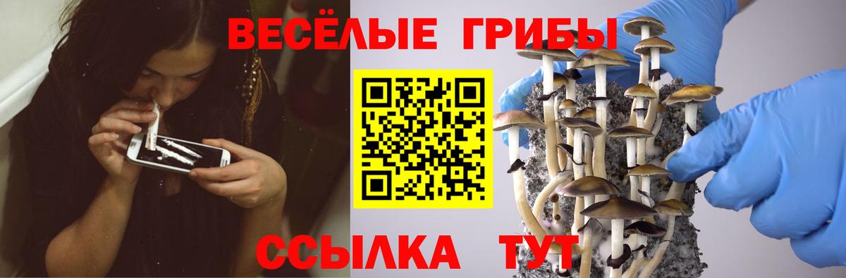 Псилоцибиновые грибы Magic Shrooms Заречный